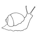 Drawing of a snail. A hand-drawn snail in the style of a sketch with a spiral shell, side view, isolated black outline on white Royalty Free Stock Photo