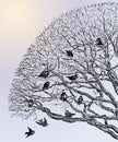 Vector drawing of sparrows flock on tree branches on cold winter day Royalty Free Stock Photo