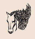 Head horse vector.Vector silhouette stencil horse head with lace developing mane on beige background .Arabian horse. Royalty Free Stock Photo