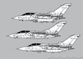 Panavia Tornado. Vector drawing of tactical fighter.