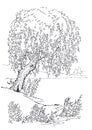 Vector drawing. Tree at the lake Royalty Free Stock Photo