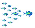 Vector image of tuna, shoal of fish.