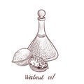 Vector drawing walnut oil Royalty Free Stock Photo