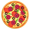 Vector drawing of a whole round pizza with tomatoes, pepperoni sausage, olives cheese and arugula. Isolated on white