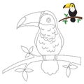 Illustration of toucan sitting on branch for toddlers