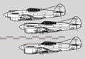 Curtiss P-40 Warhawk. Vector drawing of World War 2 fighter.