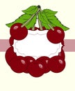 Vector drawn cherry berry labels.