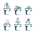 Vector drawn flower potted.