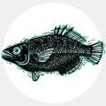 Vector drawn freshwater fish silhouette, natural graphic symbol. Royalty Free Stock Photo