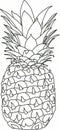 Vector drawn monochrome pineapple.