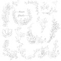 Vector Drawn Plants and Flowers, Wreaths, Corners, Branches Royalty Free Stock Photo