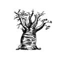 Vector drawn sketch of baobab tree, doodle style with black lines