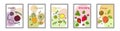 Vector drawn sketch fruit banners set. Royalty Free Stock Photo