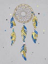 Vector Dreamcatcher Amulet. Ethnic illustration, tribal