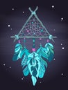 Vector Dreamcatcher Amulet. Ethnic tribal Illustration