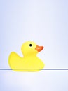 Vector duck swimming on water