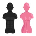 Vector dummy mannequin model poses male and female