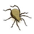 Vector Dust Mite Parasite