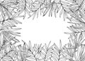 Vector dypsis, areca palm or Cycas leaves horizontal rectangle frame with empty space for text. Tropical monochrome tree leaf