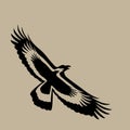 Vector of eagle design on brown background, Wild Animals.