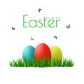 Vector Easter eggs with grass, butterfly and flowers isolated on a white background. Element for celebratory design Royalty Free Stock Photo