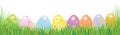 Vector Easter eggs in green grass. Royalty Free Stock Photo