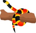 Vector Eastern coral snake illustration Royalty Free Stock Photo