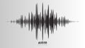 Vector echo audio wavefrom. Abstract music waves oscillation. Futuristic sound wave visualization. Synthetic music