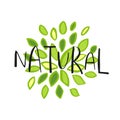 Vector eco, bio green logo or sign. Vegan, raw, healthy food bad Royalty Free Stock Photo