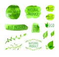 Vector Eco Icons, Watercolor Design Elements, Green Logo Set isolated on White Background, Natural Bio Product. Royalty Free Stock Photo