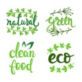 Vector eco natural bio logo set. Green icons collection. Raw food badges, labels. Lettering illustration for banners Royalty Free Stock Photo