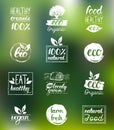 Vector eco,organic,bio logo cards templates. Handwritten healthy eat icons set. Vegan, natural food and drinks signs. Royalty Free Stock Photo