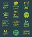 Vector eco,organic,bio logo cards templates. Handwritten healthy eat icons set. Vegan, natural food and drinks signs.