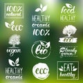 Vector eco, organic, bio logos. Handwritten healthy eat logotypes set. Vegan, natural food and drinks signs. Royalty Free Stock Photo