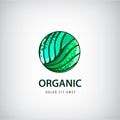 Vector eco, organic, healthy natural food logo, icon