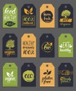 Vector eco,organic logo cards templates.Handwritten healthy eat retro logotypes set.Vegan,natural food and drinks signs. Royalty Free Stock Photo