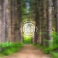 Vector ecological blurred illustration with road, trees and eco label