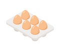 Vector egg carton pack. Eggs container isolated box cooking food cardboard. Royalty Free Stock Photo