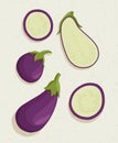 Vector eggplant cartoon illustration with textures. Healthy organic eggplant slices.