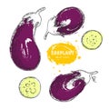 Vector eggplant hand drawn illustration in the style of engraving. Detailed vegetarian food drawing. Farm market product