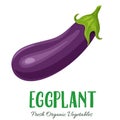 Vector eggplant vegetable