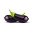 Vector eggplant on white background