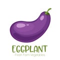 Vector eggplant on white background.Vegetable illustration for farm market menu. Healthy food design poster