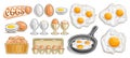 Vector Eggs Set