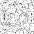 Vector elegance seamless pattern with outline Pomegranate fruit, ornate foliage and flower in black on the white background.