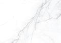 Vector elegance white marble gray textured surface paper background Royalty Free Stock Photo