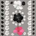 Vector elegant decorative hibiscus flowers