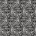 Vector elegant seamless pattern with striped leaves