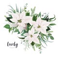 Vector elegant white Poinsettia flower, Christmas tree branches, eucalyptus greenery, green forest leaves floral bouquet. Elegant