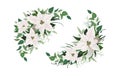 Vector elegant winter season half moon wreath, bouquet. White Poinsettia Christmas flower, spruce tree branches, Eucalyptus